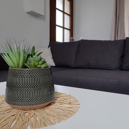 Clermont Centre- Appartement Privé Kültér fotó